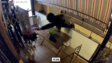 Se cuela en sus terrazas y roba sus bragas del tendedero Se cuela en sus terrazas y roba sus bragas del tendedero