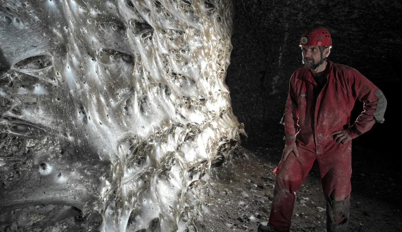 Imagen de la telaraña