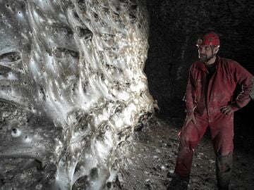 Imagen de la telaraña