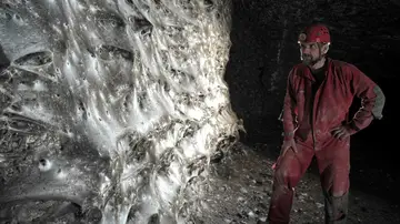 Imagen de la telaraña Imagen de la telaraña