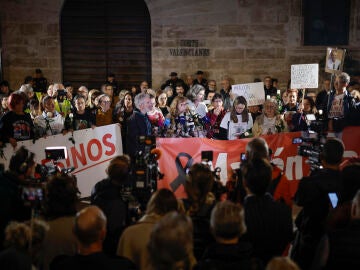 "Mazón a prisión": Cientos de personas se reúnen ante Les Corts para exigir su enjuiciamiento y que entregue el acta de diputado