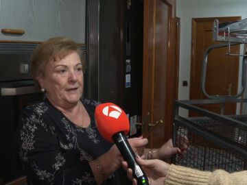 La historia de Dori y su mascota Kiko: el loro que se escapó, y al volver comparte custodia con el Estado