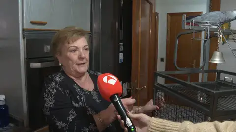 La historia de Dori y su mascota Kiko: el loro que se escapó, y al volver comparte custodia con el Estado La historia de Dori y su mascota Kiko: el loro que se escapó, y al volver comparte custodia con el Estado