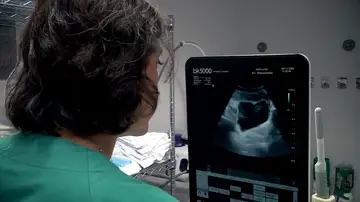 Noviembre se convierte en "Movember", el mes para concienciar sobre la salud masculina Noviembre se convierte en "Movember", el mes para concienciar sobre la salud masculina