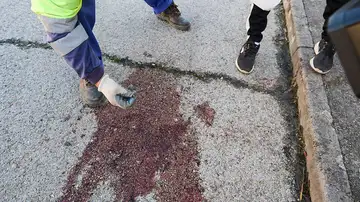 Una mancha de sangre este lunes en El Casar de Escalona. Una mancha de sangre este lunes en El Casar de Escalona.