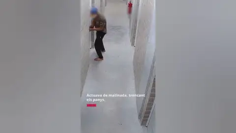 El ladrón actuaba de noche y en solitario forzando accesos a comunidades de vecinos El ladrón actuaba de noche y en solitario forzando accesos a comunidades de vecinos