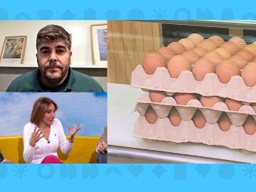 Precio de los huevos y gripe aviar