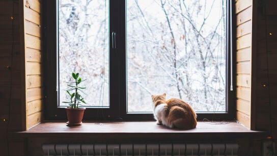 &iquest;C&oacute;mo evitar que el calor se escape por la ventana?