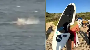 El momento del ataque del tiburón y el cómo quedó la tabla de Andy McDonald El momento del ataque del tiburón y el cómo quedó la tabla de Andy McDonald
