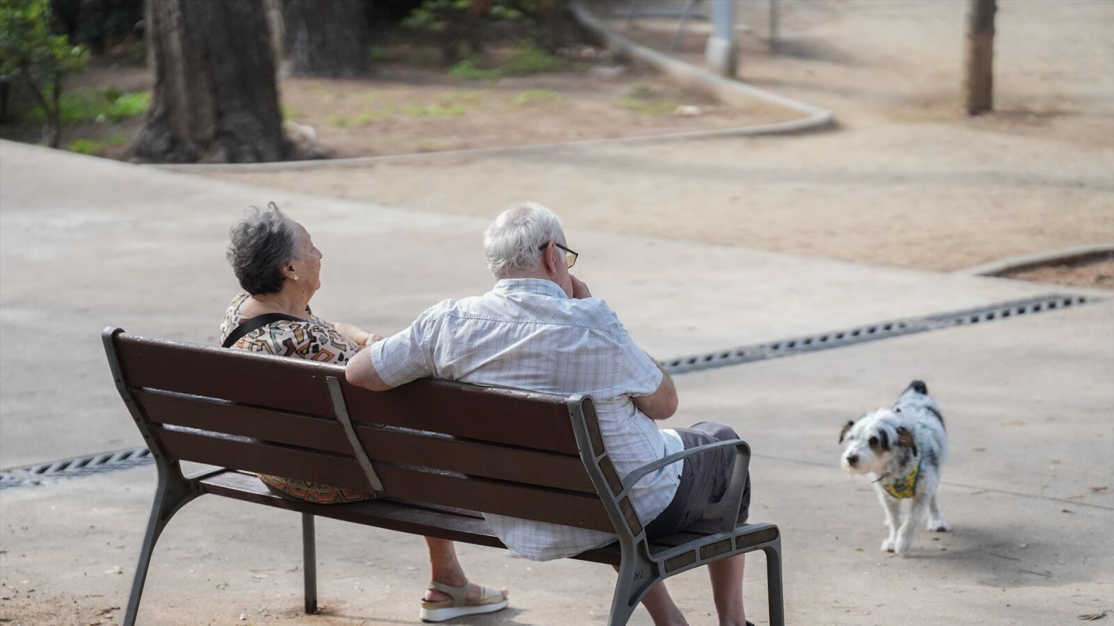Las pensiones mínimas ascienden al 7% mientras que las nos contributivas y el IMV suben al 11'4%