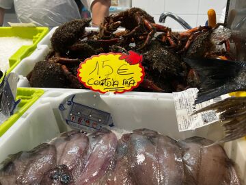 Imagen de marisco en una pescadería