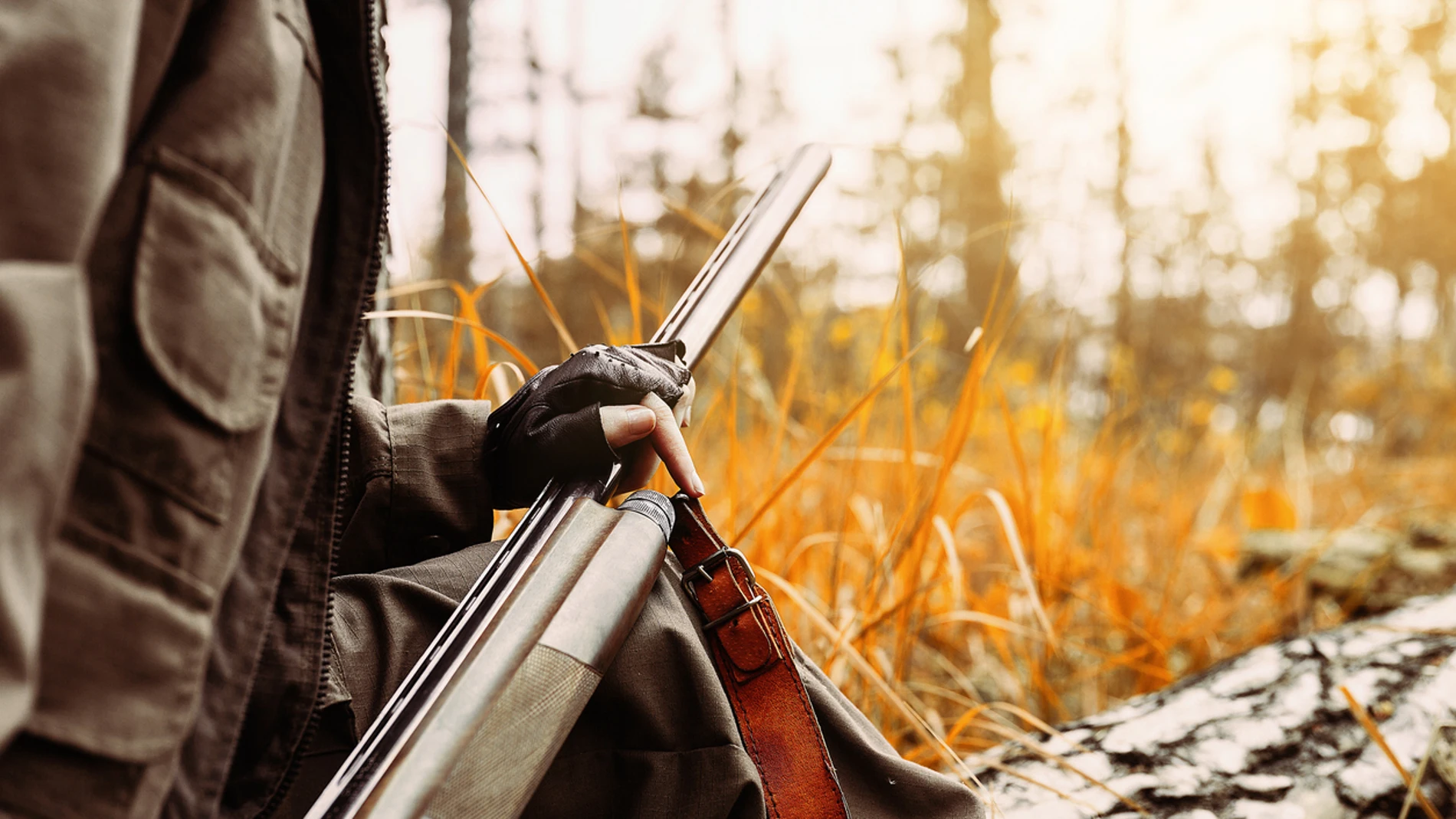 Escopeta de caza Escopeta de caza