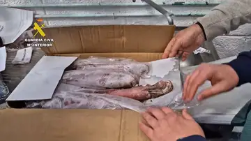 Pescado en mal estado Pescado en mal estado