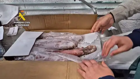 Pescado en mal estado Pescado en mal estado