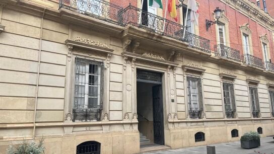 El exvicepresidente de la Diputaci&oacute;n &Oacute;scar Liria, octavo nuevo investigado del caso Mascarillas en Almer&iacute;a