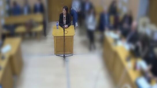 Declaraci&oacute;n Leire D&iacute;ez