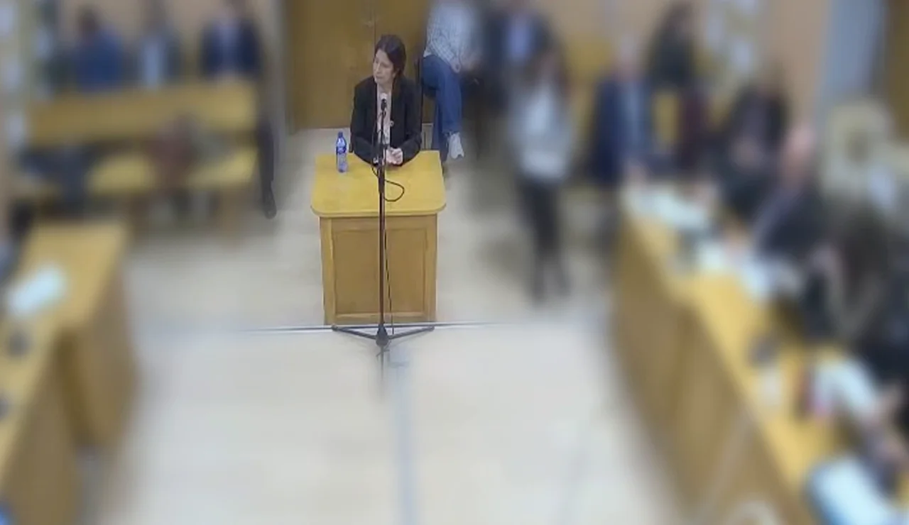 Declaración Leire Díez