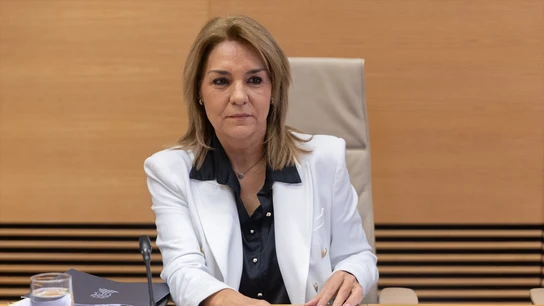 La vicepresidenta valenciana Susana Camarero La vicepresidenta valenciana Susana Camarero