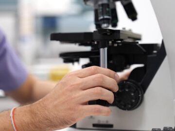 Investigación sobre la leucemia infantil en el Hospital Niño Jesús