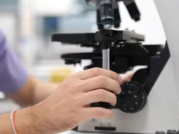 Investigación sobre la leucemia infantil en el Hospital Niño Jesús Investigación sobre la leucemia infantil en el Hospital Niño Jesús