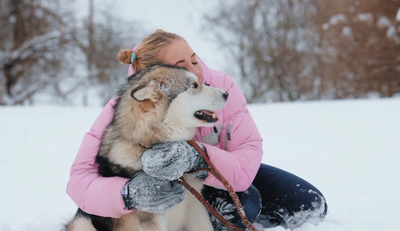 Tu perro se parece a ti m&aacute;s de lo que crees