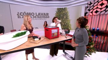 Ordenatriz Ordenatriz