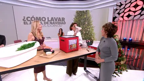 Ordenatriz Ordenatriz