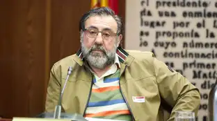 El hermano de Koldo García, Joseba García, comparece en la comisión de investigación sobre el caso Koldo El hermano de Koldo García, Joseba García, comparece en la comisión de investigación sobre el caso Koldo