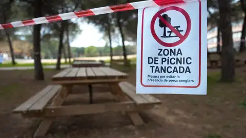 Zonas de picnic de la UAB cerradas tras un cartel alertando de la presencia de la peste porcina Zonas de picnic de la UAB cerradas tras un cartel alertando de la presencia de la peste porcina