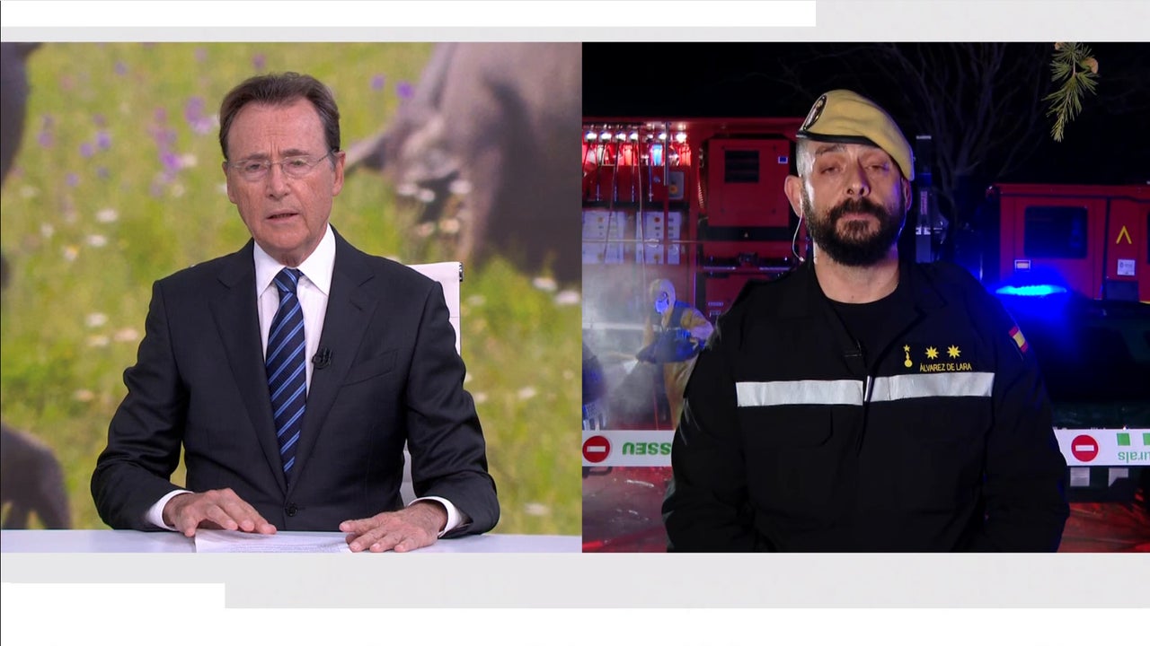 아프리카돼지열병 확산 방지, 감염 경로 차단이 왜 중요할까요? 🐖