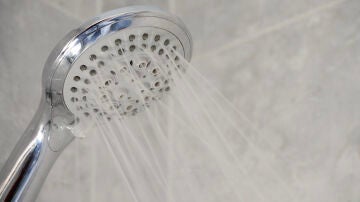 Alcachofa de ducha