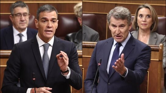 Pedro S&aacute;nchez y Alberto N&uacute;&ntilde;ez Feij&oacute;o en el Congreso de los Diputados