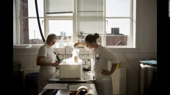Un donante con un gen cancerígeno engendró casi 200 niños en Europa Un donante con un gen cancerígeno engendró casi 200 niños en Europa