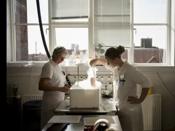 Un donante con un gen cancerígeno engendró casi 200 niños en Europa Un donante con un gen cancerígeno engendró casi 200 niños en Europa