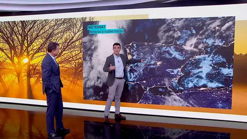 César Gonzalo César Gonzalo