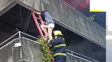 Salva a lo perros. Salva a lo perros.