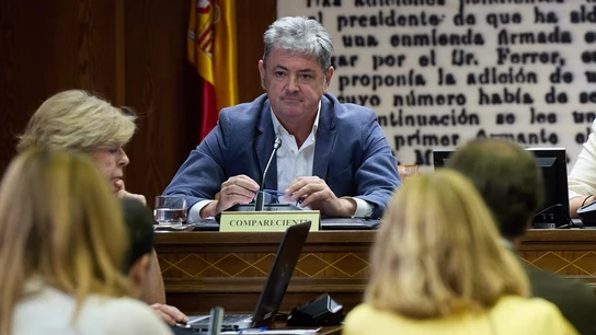 Antxon Alonso, durante una comparecencia en el Senado por el caso Koldo Antxon Alonso, durante una comparecencia en el Senado por el caso Koldo