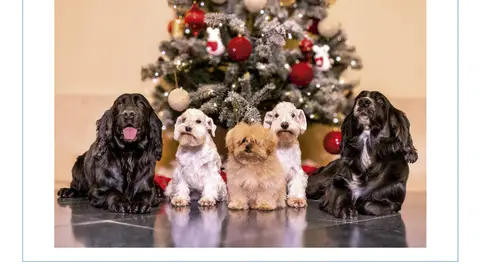 La felicitación navideña de 2025 de los reyes eméritos, Juan Carlos y Sofía La felicitación navideña de 2025 de los reyes eméritos, Juan Carlos y Sofía