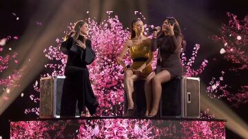 equipo malu equipo malu