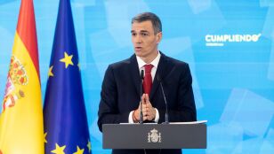 Pedro S&aacute;nchez