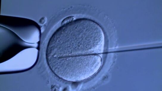 35 de los 197 beb&eacute;s que engendr&oacute; un donante de esperma con un gen cancer&iacute;geno