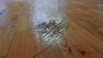 Parquet estropeado Parquet estropeado