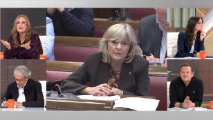 Cerd&aacute;n pide respeto para Leire D&iacute;ez en la Comisi&oacute;n de investigaci&oacute;n del Senado