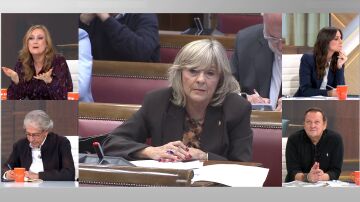 Cerd&aacute;n pide respeto para Leire D&iacute;ez en la Comisi&oacute;n de investigaci&oacute;n del Senado