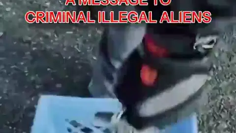 La polémica 'felicitación' navideña de la Casa Blanca contra los inmigrantes Vídeo: La polémica 'felicitación' navideña de la Casa Blanca contra los inmigrantes