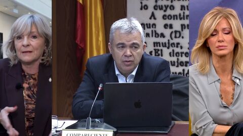 Cerd&aacute;n declara en el Senado.