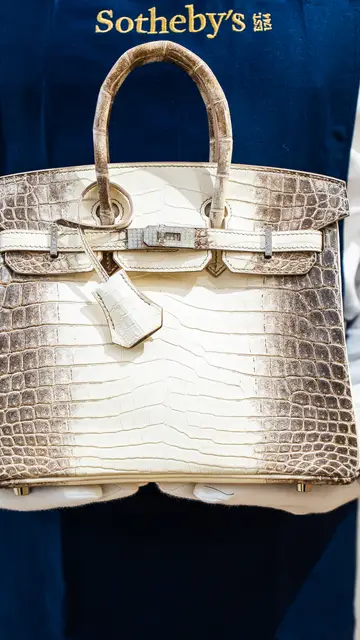 Bolso Hermès Birkin Himalaya Bolso Hermès Birkin Himalaya