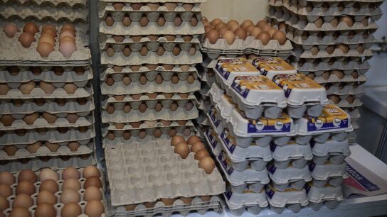 Alerta de la OCU por el enga&ntilde;o de los huevos camperos: no cumple las condiciones necesarias