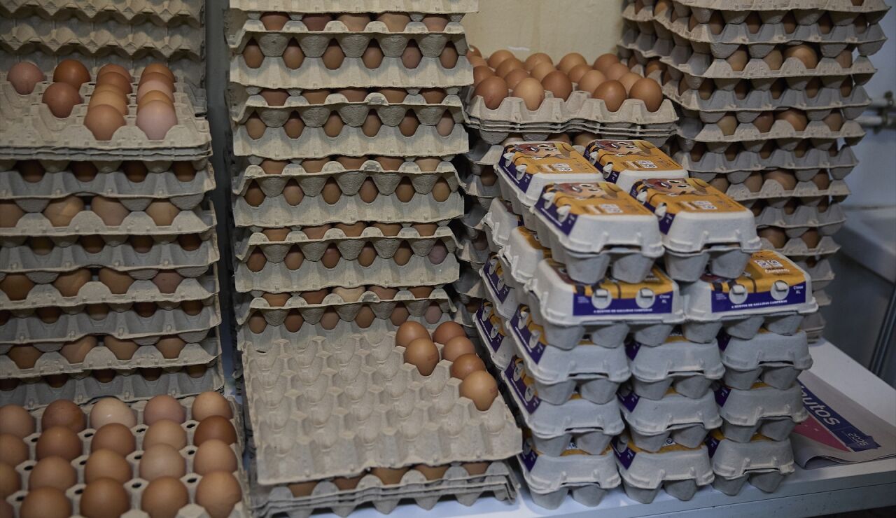 Alerta de la OCU por el enga&ntilde;o de los huevos camperos: no cumple las condiciones necesarias