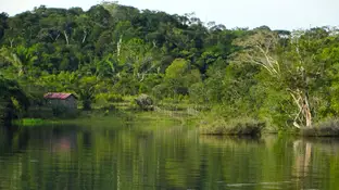 Río Amazonas Río Amazonas